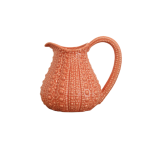 Coral Urchin Jug