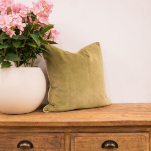 Lichen Cotton Velvet Piped Cushion