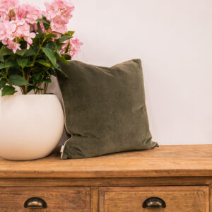 Moss Cotton Velvet Piped Cushion