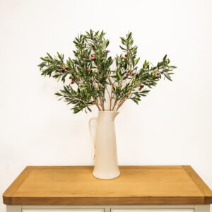 Olive Spray
