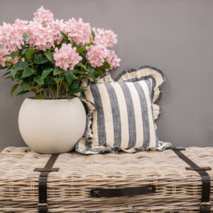 Flint Blue Stripe Ruffle Cushion