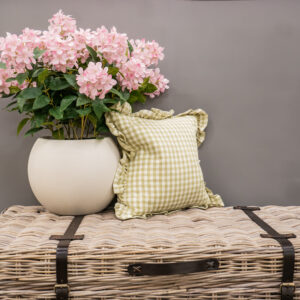 Green Square Gingham Cushion
