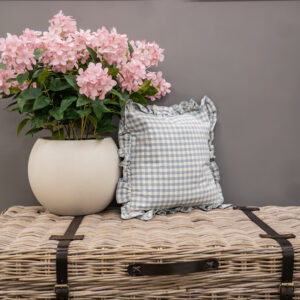 Blue Square Gingham Cushion