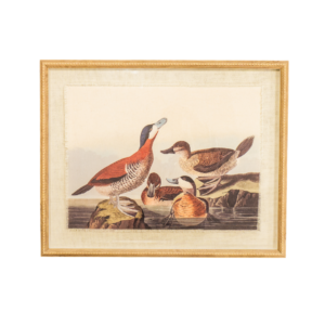 Ducks on Linen