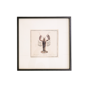 Lobster Crustacean Art