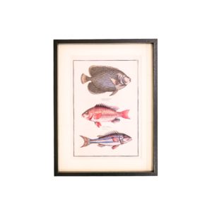 Triple Fish Art