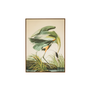 Tropical Crane Framed Print