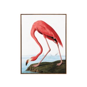 Flamingo Framed Print