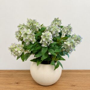 Green Hydrangea Potted Plant